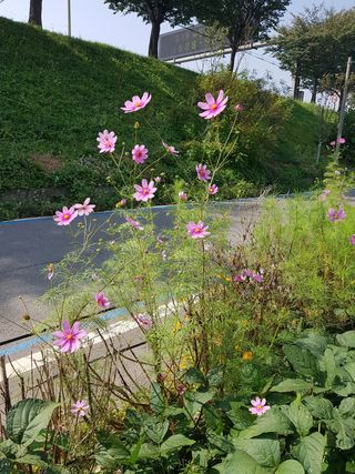 정진해님의 팜모닝 · 출석 작성글 사진