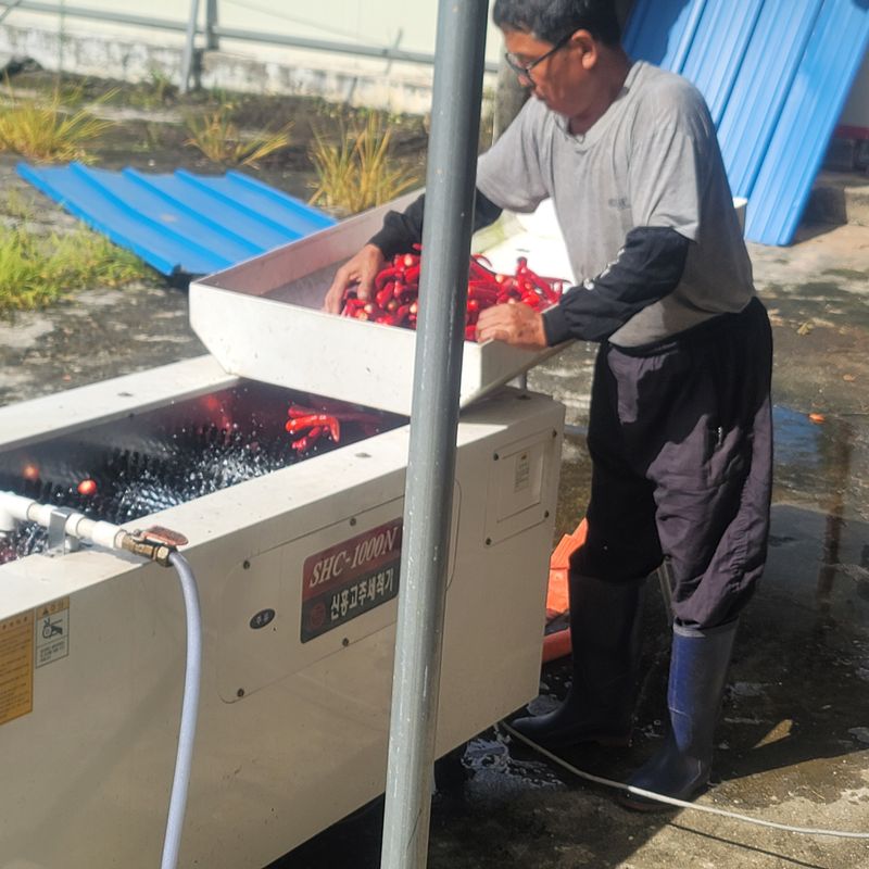 강미향님의 장터 판매 상품 [2022년햇고춧가루 1근 ( 600g )에 18000원.] 첨부 사진