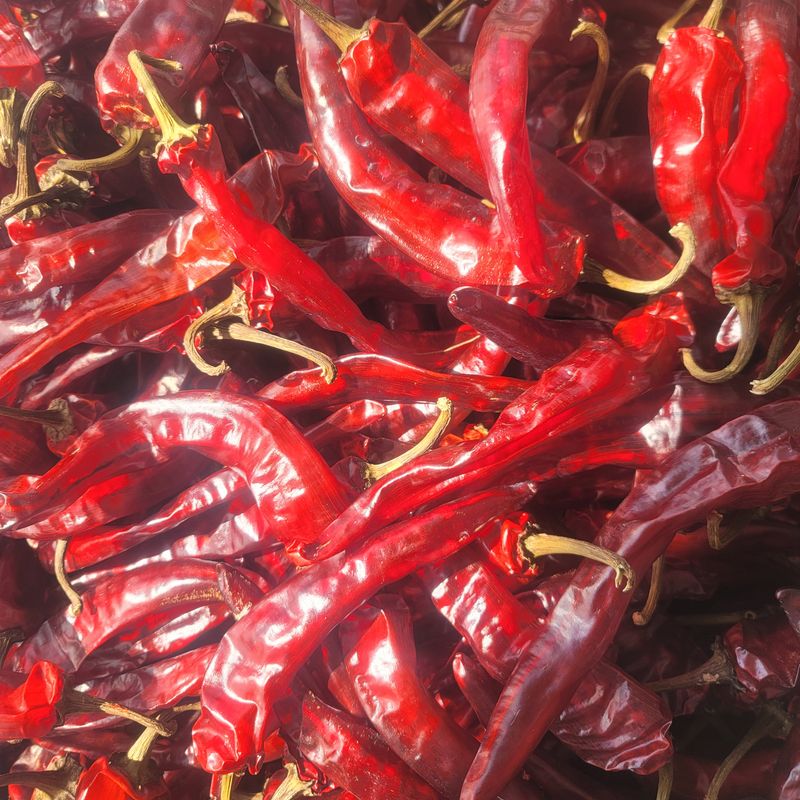 장터 상품 [2022년햇고춧가루 1근 ( 600g )에 18000원.] 썸네일