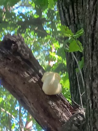 인생은 소풍처럼님의 팜모닝 · 출석 작성글 사진