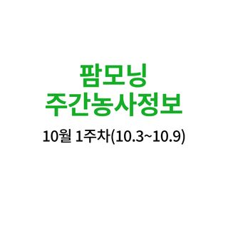 고구마 농사도우미님의 고구마 · 농사길잡이 작성글 사진