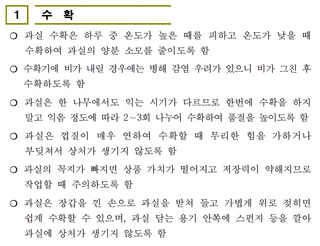 고구마 농사도우미님의 고구마 · 농사길잡이 작성글 사진