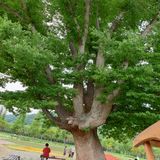 팜모닝 팜모닝·출석 게시글 이미지