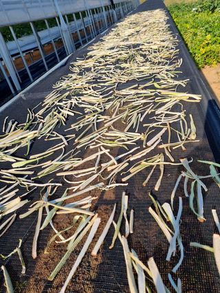 박상석님의 팜모닝 · 출석 작성글 사진