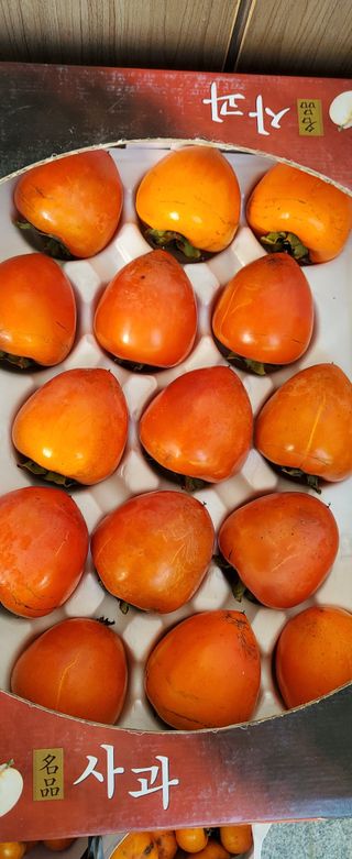 복주농장님의 작성글 사진