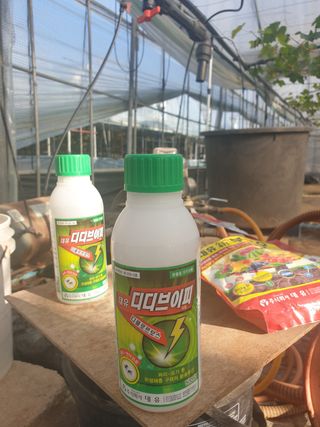 김용호님의 시금치 · 일상 작성글 사진