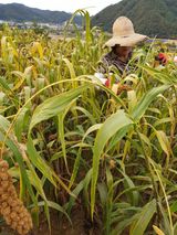 팜모닝 팜모닝·출석 게시글 이미지