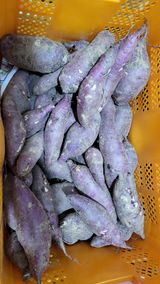 팜모닝 양파·자유게시판 게시글 이미지