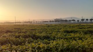 송광만님의 팜모닝 · 출석 작성글 사진