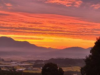 최경출님의 팜모닝 · 출석 작성글 사진