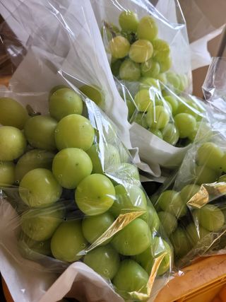 아리농장님의 팜모닝 · 출석 작성글 사진