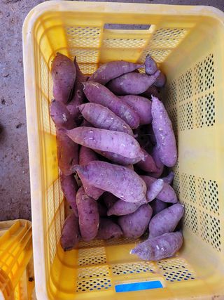 조성인님의 작성글 사진