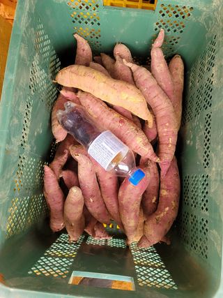 조성인님의 작성글 사진