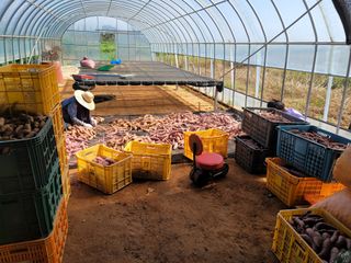 조성인님의 작성글 사진