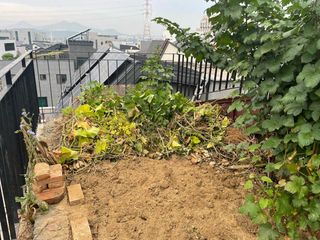 원탑님의 오이 · 자유게시판 작성글 사진