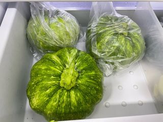 원탑님의 오이 · 자유게시판 작성글 사진