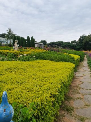 엘림농장님의 복숭아 · 자유게시판 작성글 사진