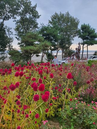 엘림농장님의 복숭아 · 자유게시판 작성글 사진