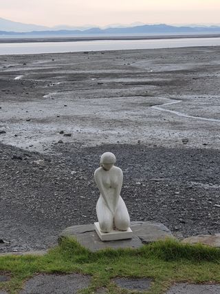 엘림농장님의 복숭아 · 자유게시판 작성글 사진