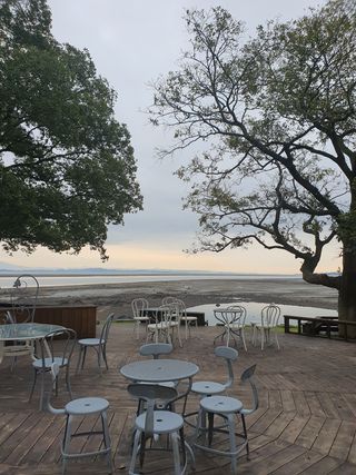 엘림농장님의 복숭아 · 자유게시판 작성글 사진