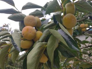 천승준님의 작성글 사진