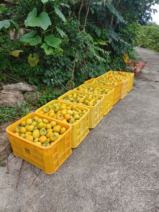 천승준님의 작성글 사진