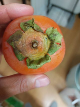 천승준님의 작성글 사진