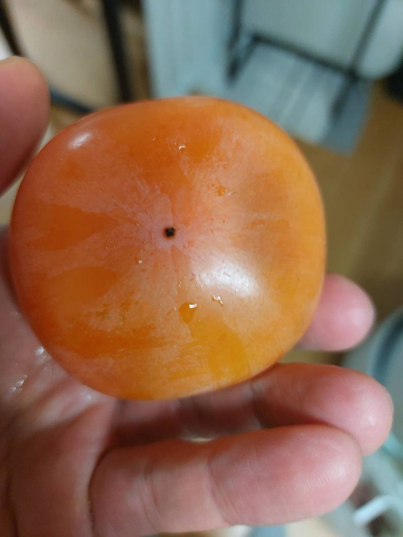 장터 상품 [반시 11000원] 썸네일