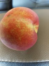 팜모닝 팜모닝·출석 게시글 이미지