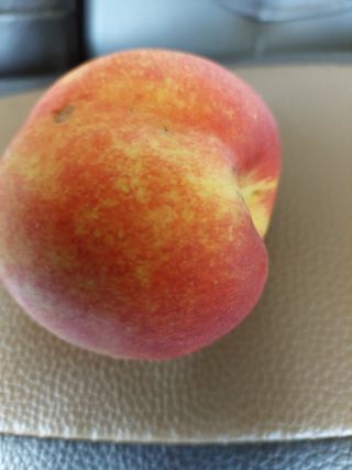 귤17611님의 팜모닝 · 출석 작성글 사진