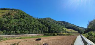 자연애 대풍농장님의 포도 · 자유게시판 작성글 사진