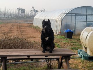 조성인님의 팜모닝 · 출석 작성글 사진