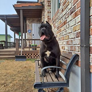 조성인님의 팜모닝 · 출석 작성글 사진