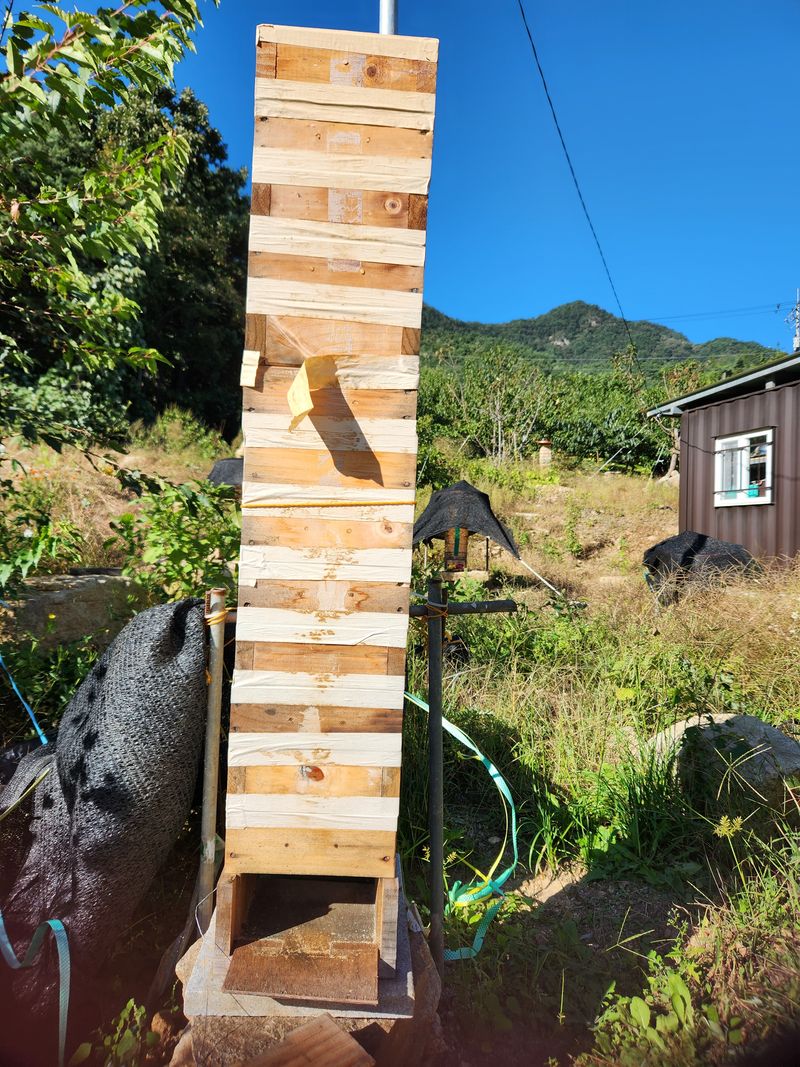 성곡농원님의 장터 판매 상품 [토종벌꿀 2,4kg 40만원 1.2kg 20만원] 첨부 사진