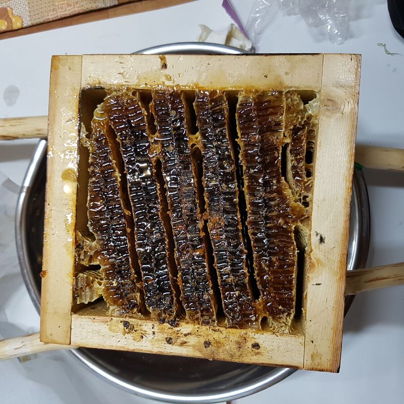 성곡농원님의 장터 판매 상품 [토종벌꿀 2,4kg 40만원 1.2kg 20만원] 첨부 사진