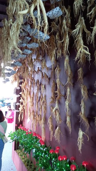 항상감사 님의 팜모닝 · 출석 작성글 사진