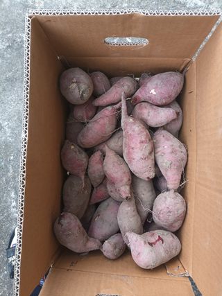 노상천님의 작성글 사진