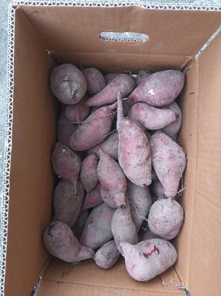 노상천님의 작성글 사진