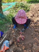 팜모닝 팜모닝·출석 게시글 이미지