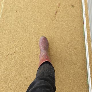 오명희 님의 팜모닝 · 출석 작성글 사진