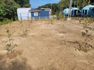 김용훈님의 콩 · 자유게시판 작성글 사진