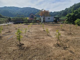 김용훈님의 콩 · 자유게시판 작성글 사진