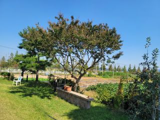 조성인님의 팜모닝 · 출석 작성글 사진