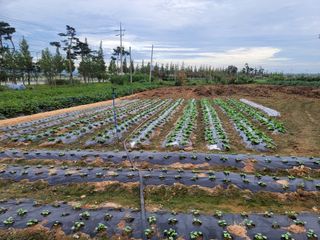 조성인님의 팜모닝 · 출석 작성글 사진