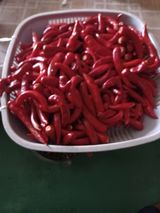 팜모닝 팜모닝·출석 게시글 이미지