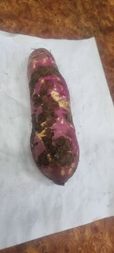 팜모닝 고구마·병해충상담 게시글 이미지