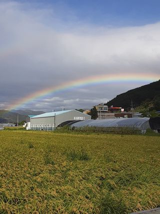 고상도님의 팜모닝 · 출석 작성글 사진