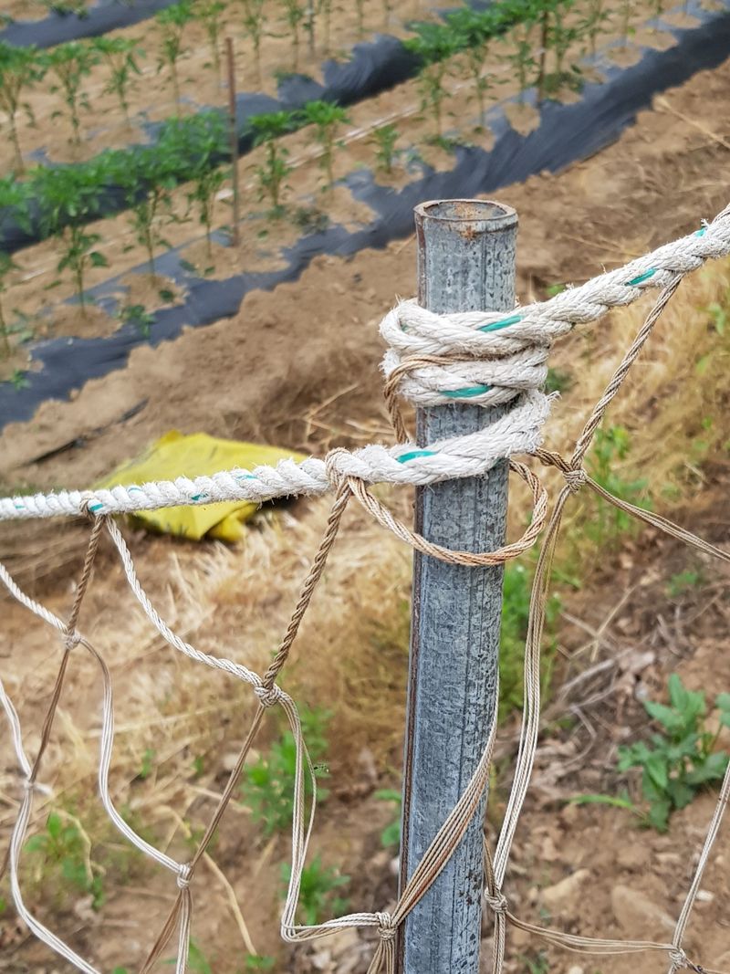 광덕농자재.조영진님의 장터 판매 상품 [고라니망 (해태망)] 첨부 사진
