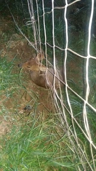 광덕농자재.조영진님의 작성글 사진