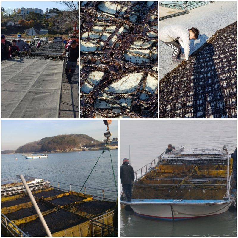 광덕농자재.조영진님의 장터 판매 상품 [고라니망 (해태망)] 첨부 사진